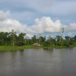 Tree crops are important in farming systems on the riverbank.