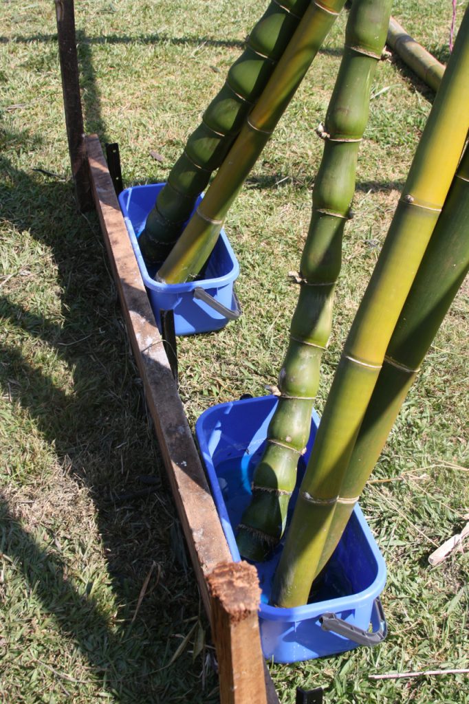Permaculture College Australia