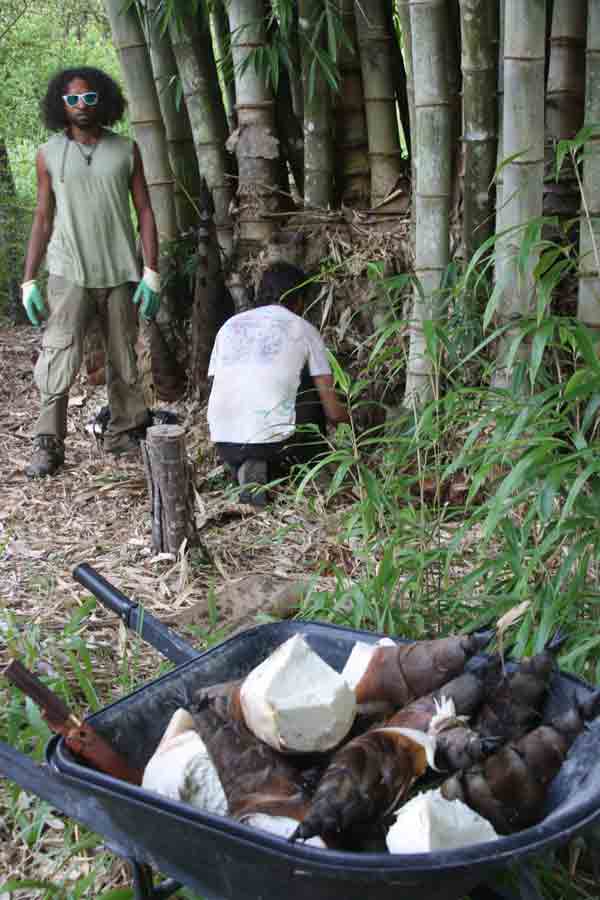 Permaculture College Australia