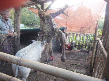 Permaculture College Australia