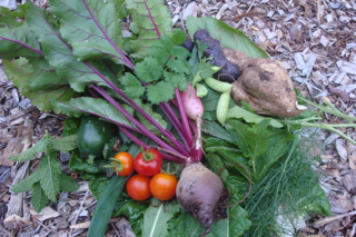 Garden_produce_small