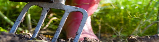 Permaculture College Australia