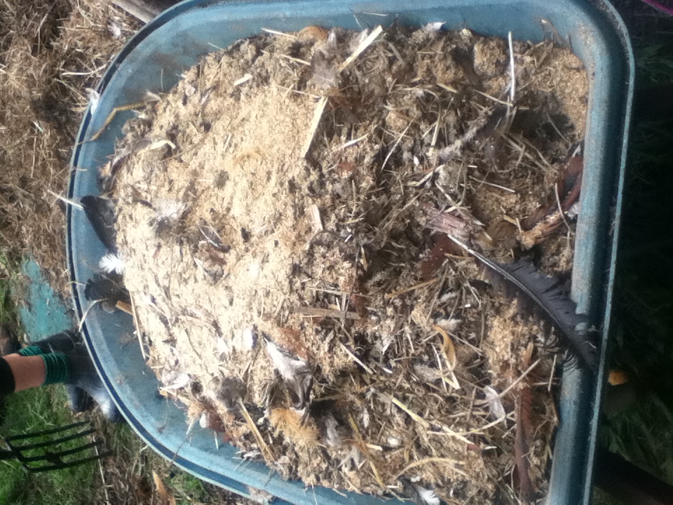 Permaculture College Australia