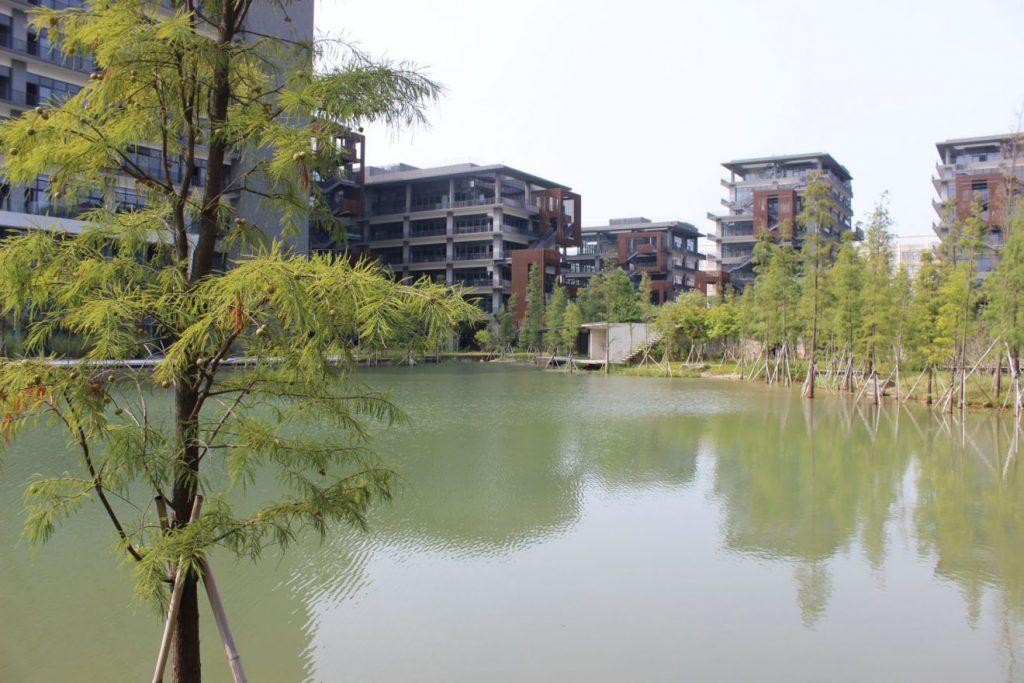 Permaculture College Australia