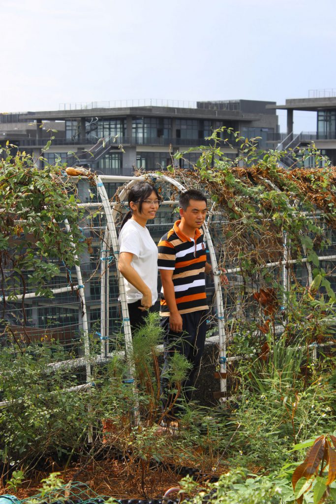 Permaculture College Australia
