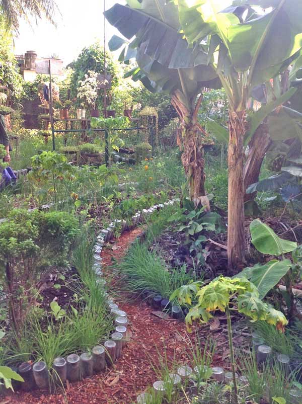 IPC11-Sanchez' urban permaculture garden in Sevilano, Havana
