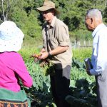 Jake harvesting fresh organic vegies to take back for Melian's catering