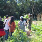 Levity Gardens visit - Nimbin Bioregion study tour