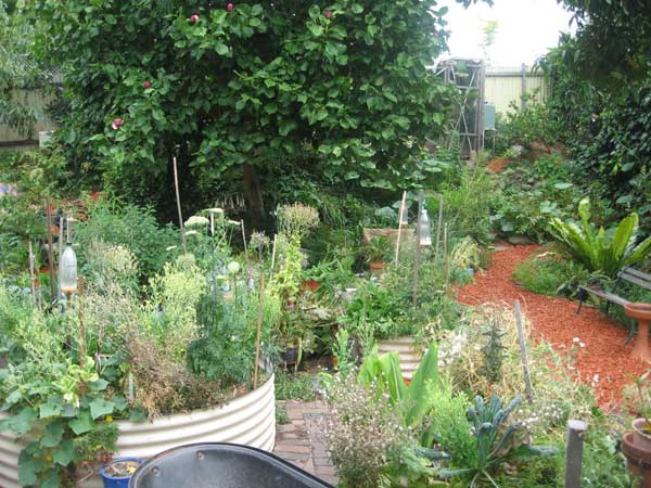 Permaculture College Australia