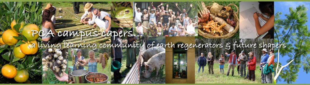 Permaculture College Australia