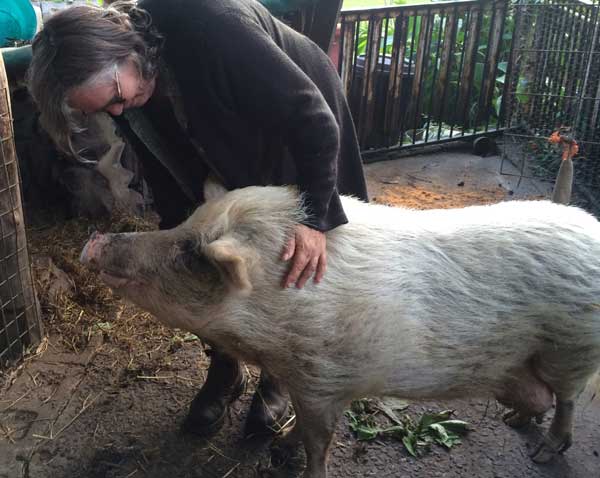Permaculture College Australia