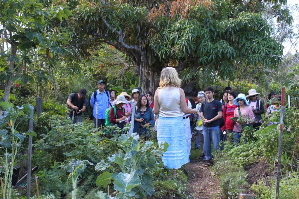 Permaculture College Australia
