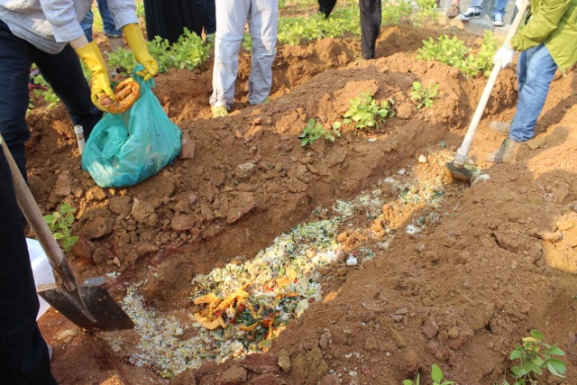 Permaculture College Australia