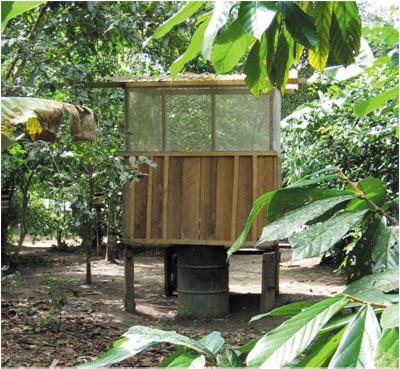 Composting toilet made with recycled drum in a village in the Amazon