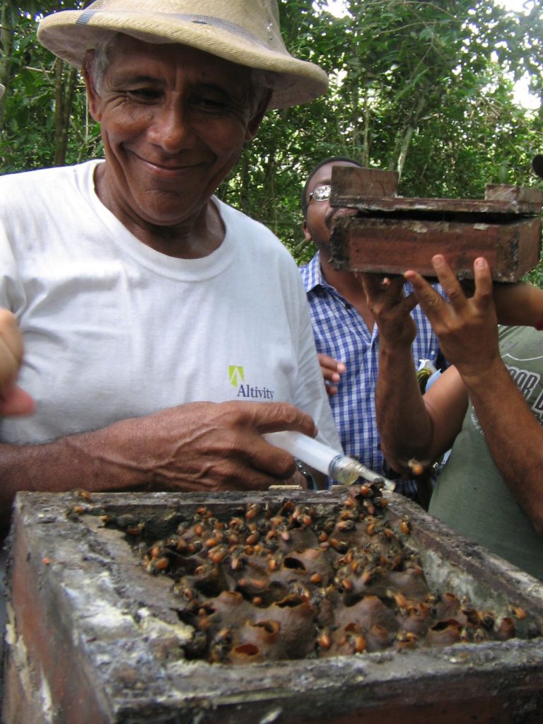 Permaculture College Australia