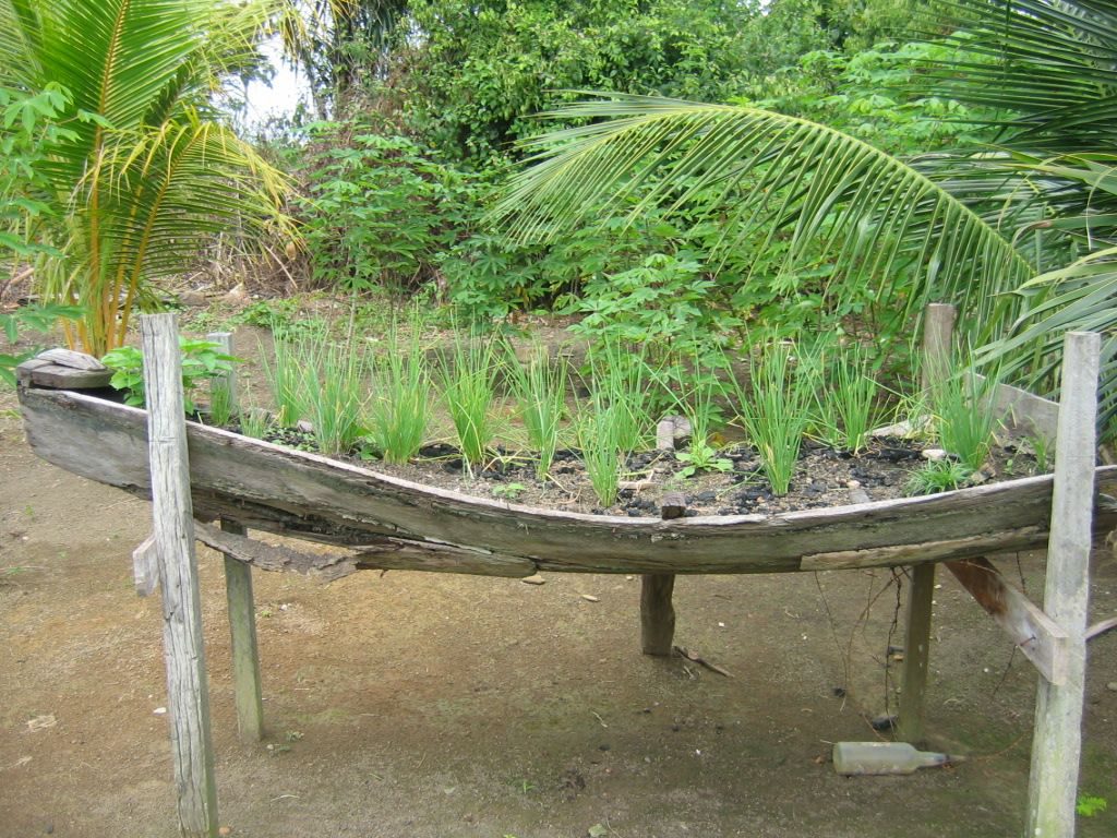 Permaculture College Australia