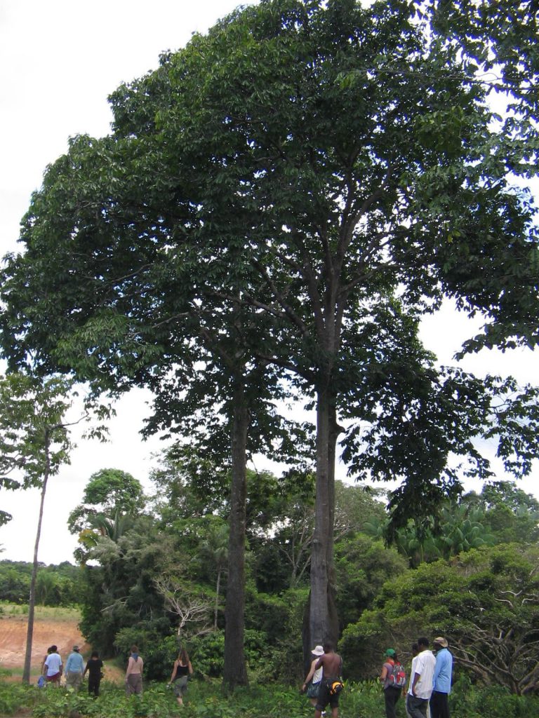 Permaculture College Australia