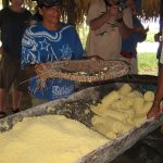 Ground cassava ready for drying