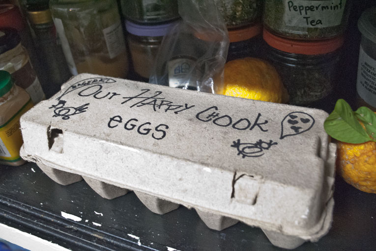 eggs