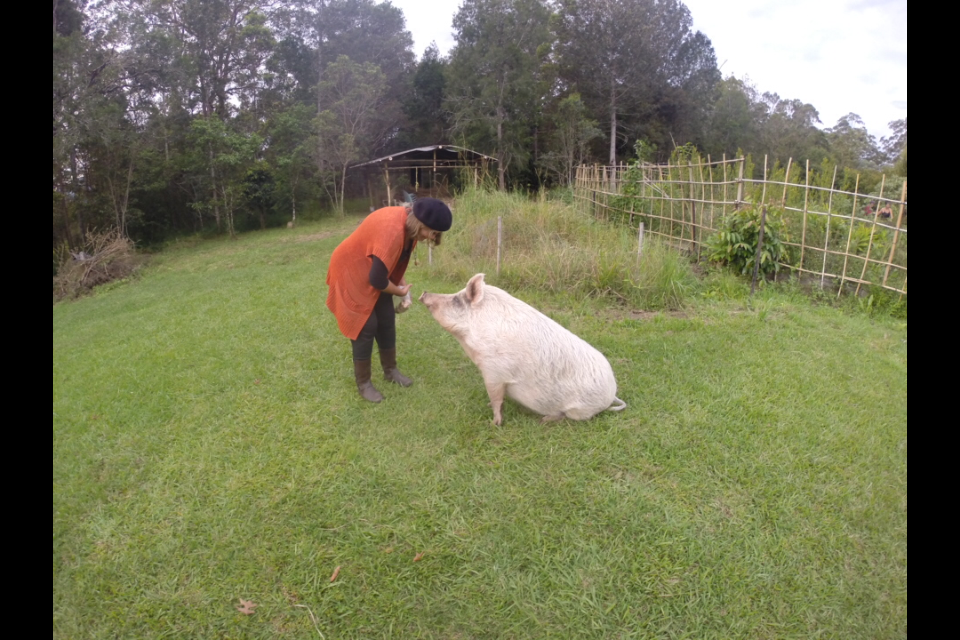 Permaculture College Australia