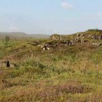 Typical landscape with rocky outcrops