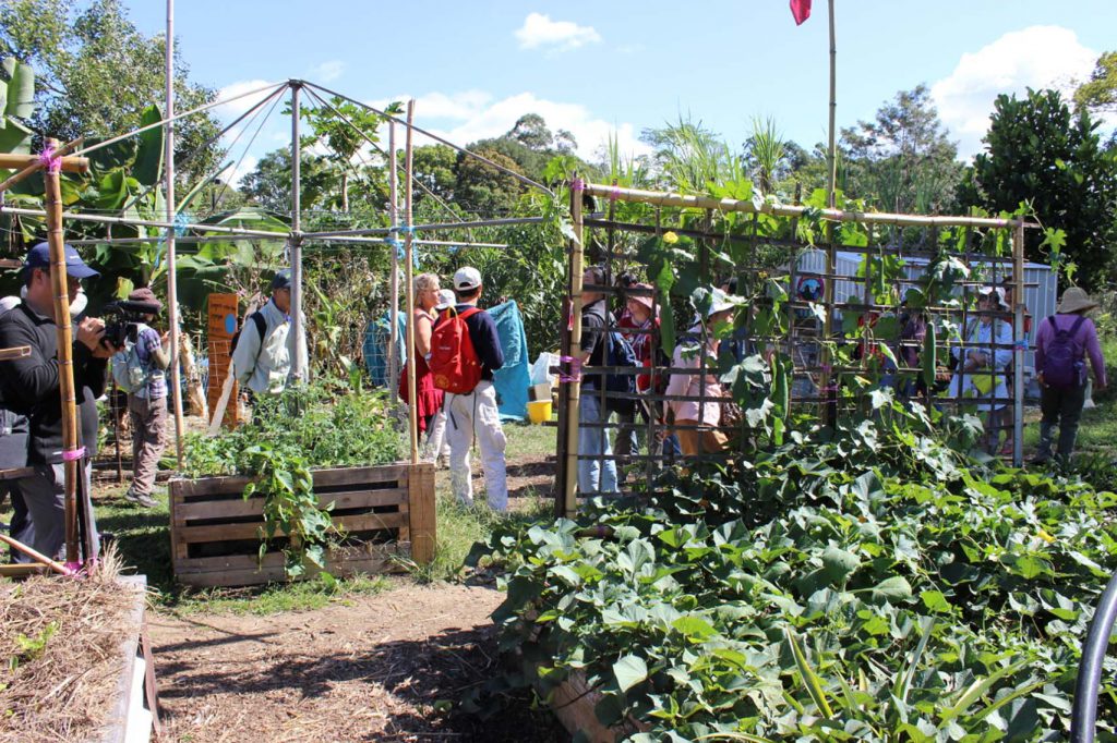 Permaculture College Australia