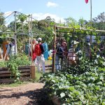 Mullumbimby Community Gardens