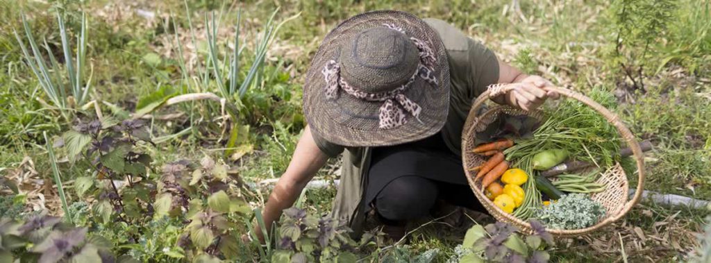 Permaculture College Australia
