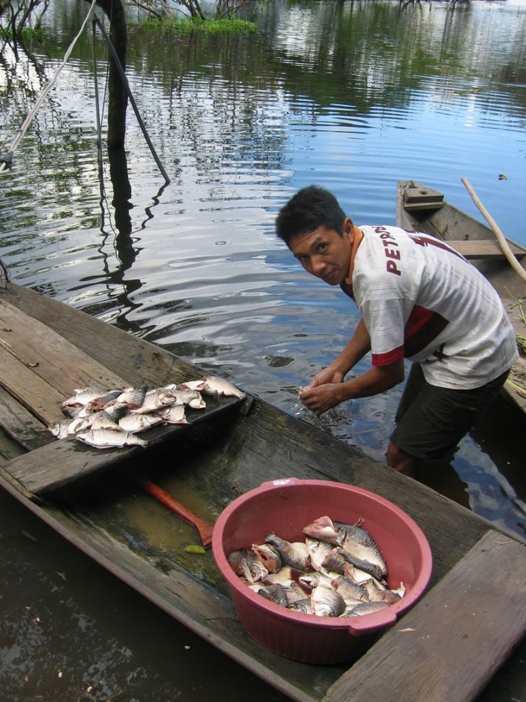 Permaculture College Australia