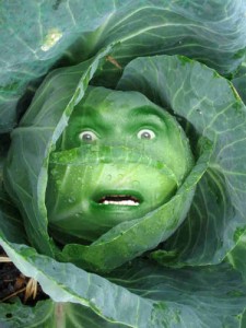 Permaculture College Australia